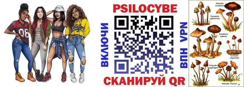 ОМГ ОМГ вход  Каспийск  Псилоцибиновые грибы Psilocybe 